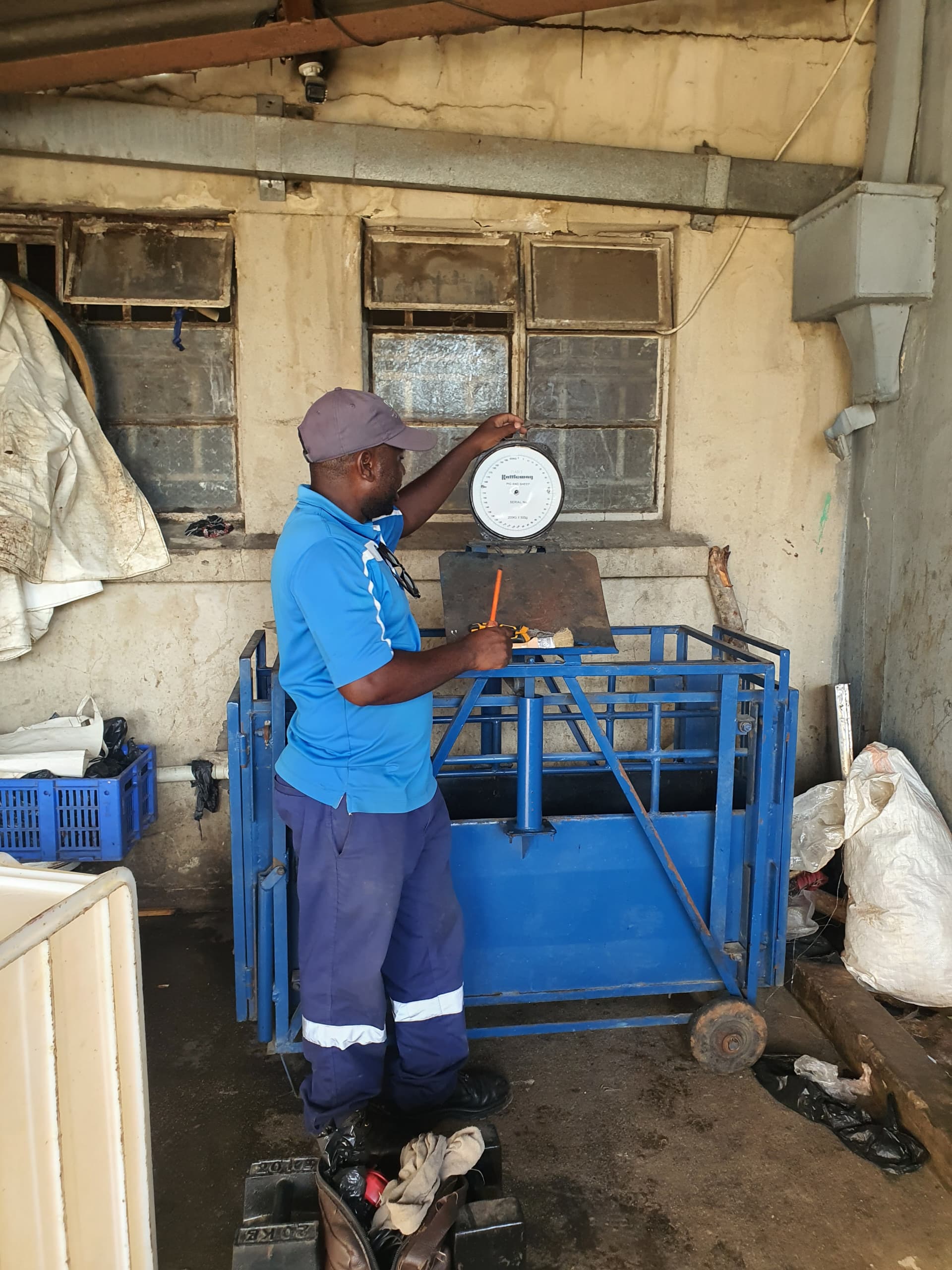 whatsapp image 2025 07 15 at 09.28.52 1.jpeg